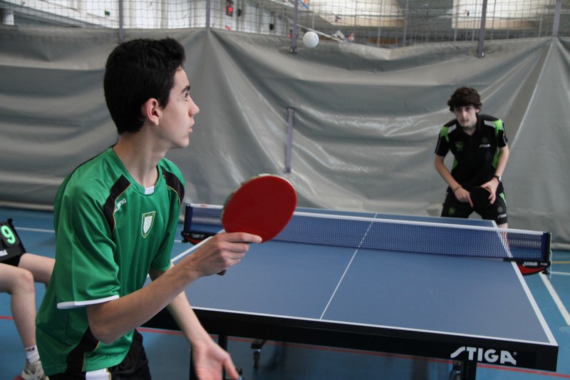 Fase Final de los Juegos Deportivos de Navarra 2013-14